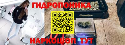 МДПВ Владикавказ