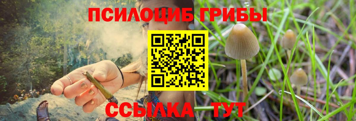 Кстово  Галлюциногенные грибы прущие грибы  Вход с VPN 